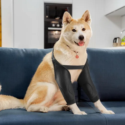 Vista 7 de Protector de codo para perro, coderas de malla transpirable para callos, traje de recuperación de perros, coderas de perro, coderas de perro