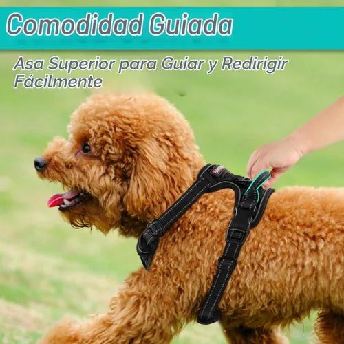 Vista 4 de BARKBAY Arnés para perro sin tirones para perros pequeños, ajustable, reflectante, cómodo, sin estrangulamiento, resistente, perfecto para Negro