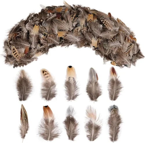 Vista 9 de SendyFeather 200 plumas naturales de 10 estilos surtidos de plumas para atrapasueños, manualidades, decoración de bricolaje