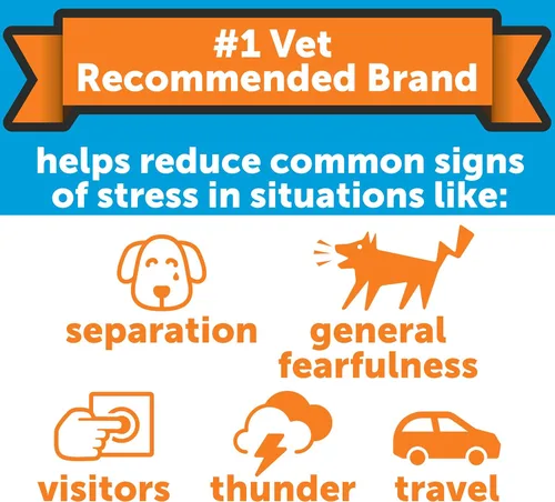 Vista 2 de ThunderEase Spray de feromonas calmantes para perros Desarrollado por ADAPTIL Reduce la ansiedad durante los viajes, visitas al veterinario