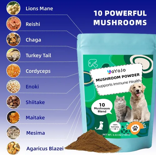 Vista 4 de Extracto de hongos en polvo para perros y gatos – Complejo de 10 hongos suplemento para mascotas para inmunidad, salud celular, cognición