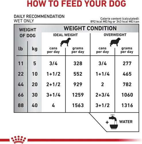 Vista 8 de ROYAL CANIN Veterinary Diet Canine Weight Control - Pan para adultos en salsa para perros, 13.5 onzas (paquete de 24)