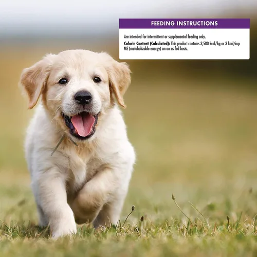 Vista 9 de Wellness Crunchy Puppy Bites - Golosinas de entrenamiento para perros sin granos naturales (paquete de 2 bolsas de pollo y zanahorias de 6 onzas)