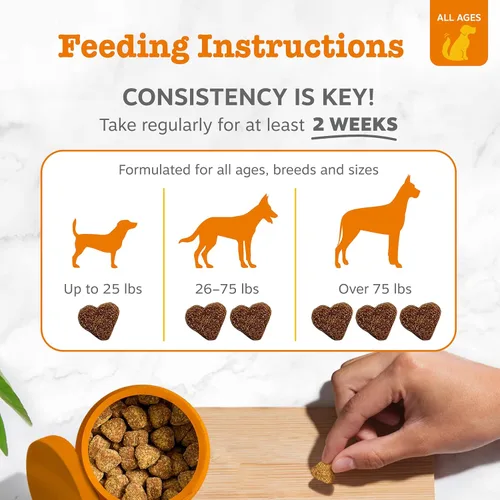 Vista 4 de Zesty Paws Curcumina de cúrcuma para perros, para la movilidad de la cadera y las articulaciones, apoya la salud cardiovascular digestiva canina