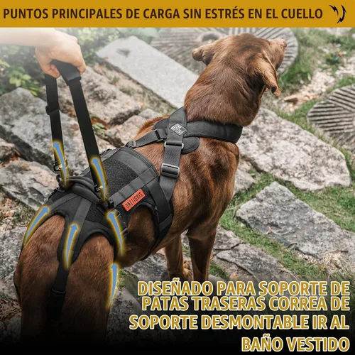 Vista 4 de OneTigris Arnés de soporte para perros para patas traseras, arnés de elevación para perros grandes, patas traseras, soporte de cadera para perros