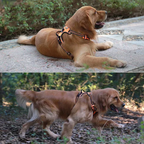 Vista 6 de OLizee® Arnés sin tirones para perro, aventura al aire libre, marcas reflectantes, chaleco para mascotas con asa, arnés protector ajustable
