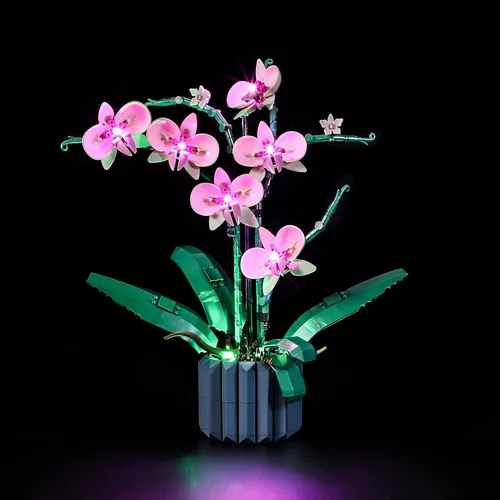 Vista 9 de LIGHTAILING Juego de luces LED para el modelo de bloques de construcción de árbol bonsái Lego 10281 - NO incluye el set