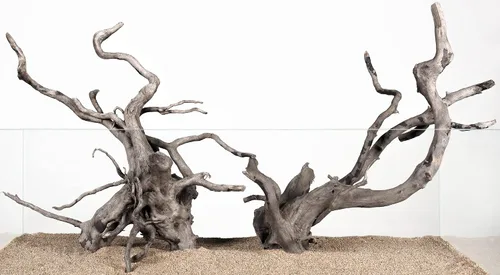 Vista 7 de LANDEN Kueiyang Hornwood para acuascaping, decoración de madera flotante de acuario, ramas naturales (12-14 pulgadas, 30-35cm), 4