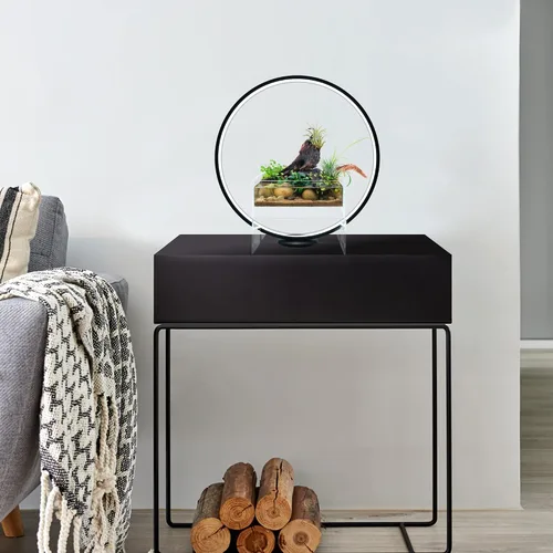 Vista 5 de Luz de crecimiento de plantas de espectro completo con soporte de exhibición, para terrario, acuario de nano pez, bonsái, plantas en maceta. Regalo