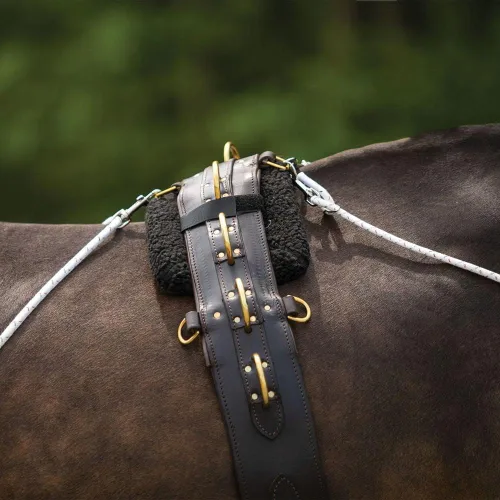 Vista 7 de Sistema de entrenamiento europeo avanzado Herramienta de entrenamiento avanzada Mejora el carro de caballos y los auriculares Fomenta