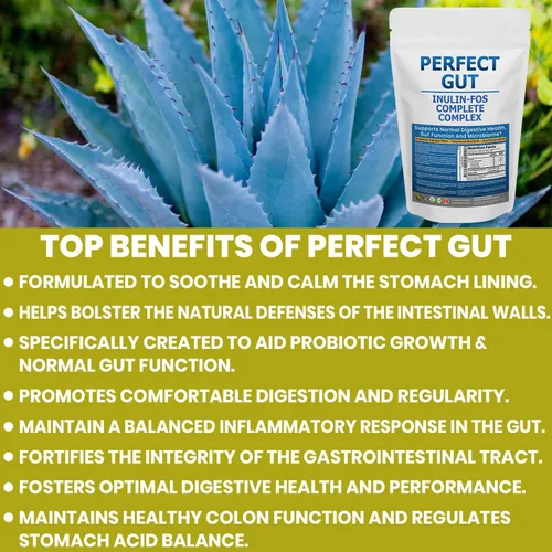 Vista 3 de Perfect Gut: Polvo de inulina FOS para la salud intestinal. Inulina prebiótica. Fibra de agave prebiótica única 95% FOS
