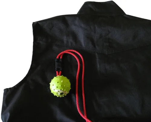 Vista 2 de Redline K9 Euro - Juego de bolas magnéticas e imán para perros, juguete de entrenamiento para perros, el color puede variar