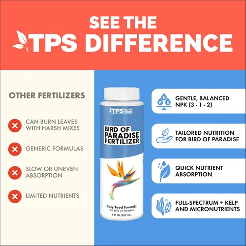 Vista 4 de Bird of Paradise Fertilizer - Alimento líquido para plantas para hojas tropicales más grandes, raíces más fuertes y crecimiento vertical saludable