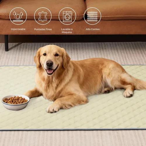 Vista 2 de Eterish Paquete de 2 almohadillas reutilizables y lavables para orina para perros, grandes, extragrandes, 36 x 41 pulgadas, paquete de 2 Beige