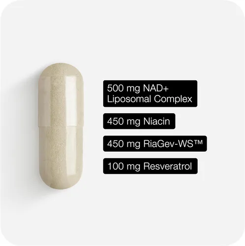 Vista 10 de Toniiq Suplemento NAD+ 1500mg - Suplemento NAD de Ultra Alta Potencia con Ingredientes Clínicamente Estudiados con RiaGev-WS™ Patentado, Resveratrol