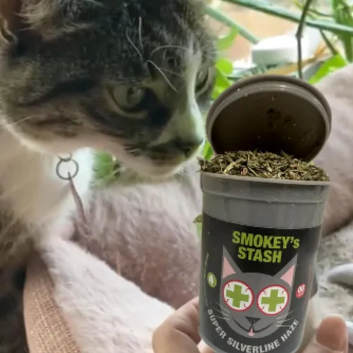 Vista 3 de Smokey's Stash Silvervine Haze - Potente mezcla de hierba gatera y vid plateada para gatos
