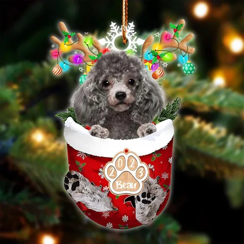Vista 49 de NAZENTI Adorno Navideño de Bolsillo Personalizado de Affenpinscher en la Nieve, Adorno de Forma Acrílica de Perro, Adorno de Navidad 2023, Adorno