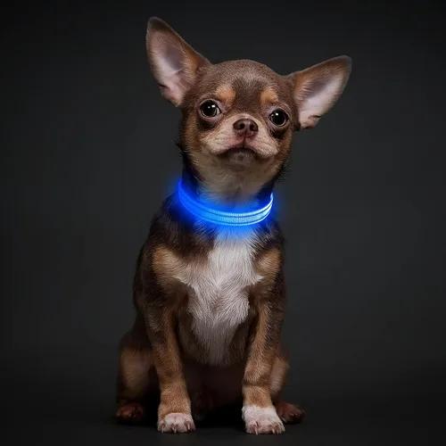 Vista 5 de Illumifun Collar LED para Perros Pequeños - Collar de Seguridad para Perros con Luz Recargable por USB, Collar con Luz de Correa de Nailon Ajustable