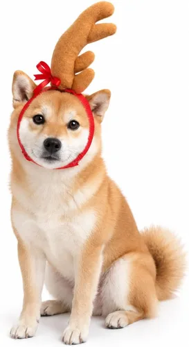 Vista 4 de ComfyCamper - Disfraz de reno con astas para perro de Halloween - Diadema cosplay de Navidad, talla pequeña, mediana, grande, extragrande para Marrón