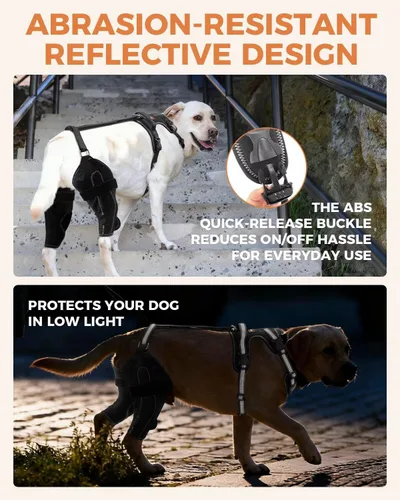 Vista 4 de Rodillera para Perro para ACL/CCL Desgarrado Pata Trasera, Soporte Ajustable con Suficiente Envoltura y Soporte y Luxación de Rótula, Soporte
