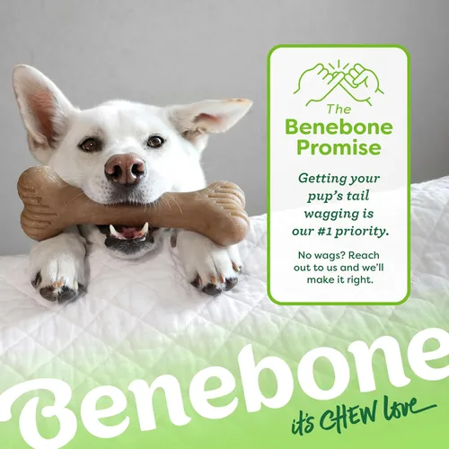 Vista 6 de Benebone Bone - Juguete masticable duradero para perros para masticadores agresivos, tocino real, fabricado en Estados Unidos, pequeño