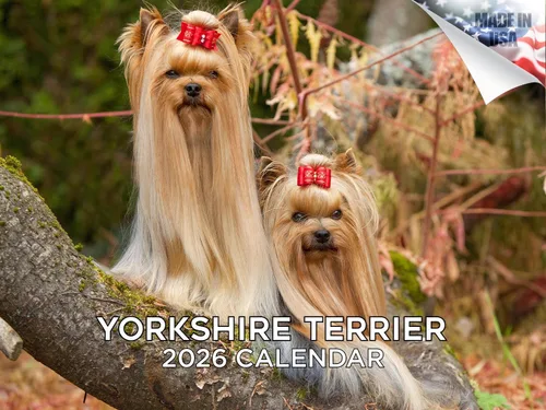 Vista 14 de Calendario de Lebrel Afgano 2025 2026, calendario mensual de pared de raza canina, 12" x 18" abierto, papel grueso sin traspaso, ideal para regalo