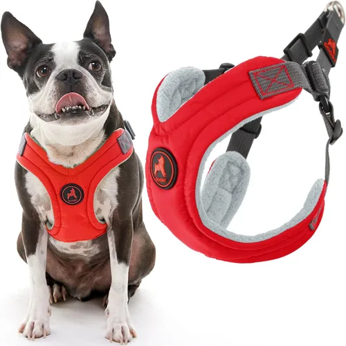 Vista 14 de Arnés de goma espuma con memoria Gooby Escape Free - Azul, pequeño - Arnés para perros sin tirón, de entrada fácil, con ajuste de cuatro puntos