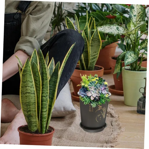 Vista 4 de GANAZONO 3 juegos de macetas de orquídeas duras transpirables para plantas de interior, patrón de orquídeas aleatorias para decoración del hogar