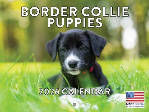 Vista 65 de Calendario mensual de pared Airedale Terrier Dog 2027 rojo (Airedale Terrier)