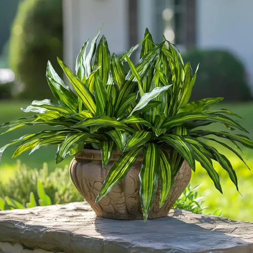 Vista 13 de 4 Piezas Tallos de Vegetación Artificial Helecho Nido de Pájaro Falso Ramas Falsas Plantas Artificiales Dracaena Falsa Realista Plantas Realistas