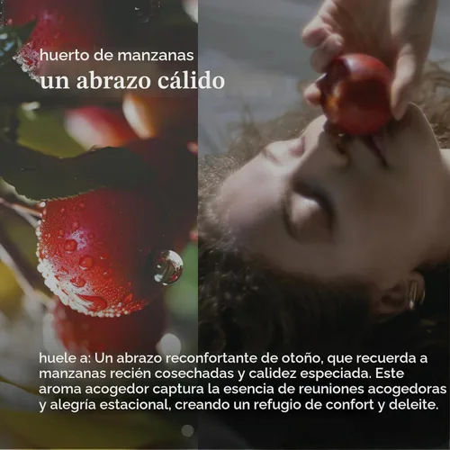 Vista 2 de Homedics SereneScent - Recambio de aceite para difusor sin agua, Apple Orchard (4.1 fl oz)