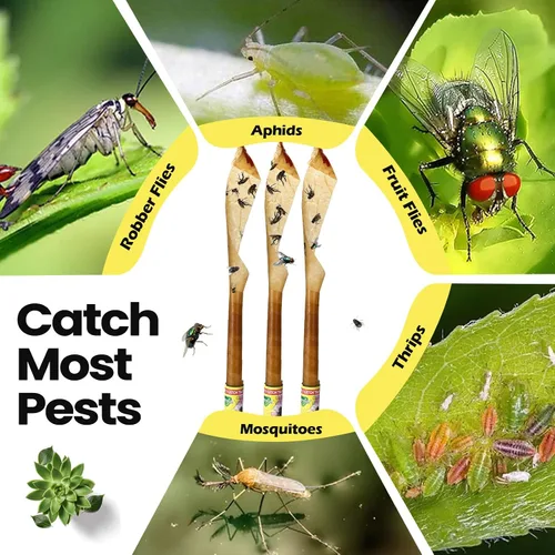 Vista 5 de Qualirey Paquete de 80 tiras adhesivas para moscas para interiores y exteriores, cinta de papel para colgar moscas, trampa para insectos voladores