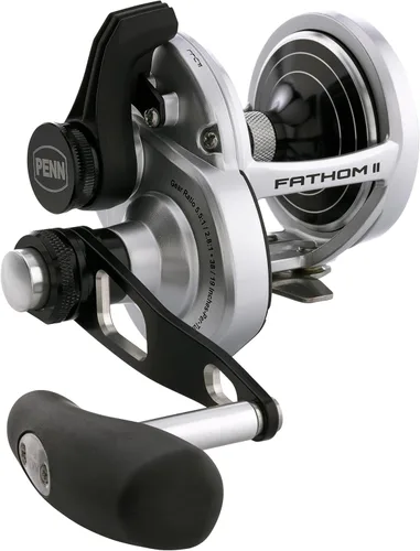 Vista 6 de Penn Carretes de pesca convencionales Fathom II con palanca de arrastre de 2 velocidades