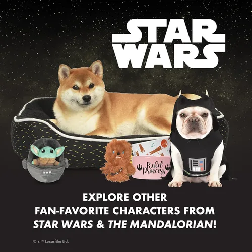 Vista 5 de STAR WARS FF19495 - Juguete chirriante para mascotas, peluche de Chewbacca Rebel y huevo de Pascua de 6 pulgadas, juguete relleno de Chewbacca