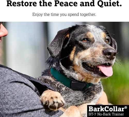 Vista 8 de Dogwatch Collar antiladridos para perros pequeños a grandes, dispositivo de entrenamiento impermeable para control de ladridos con funciones