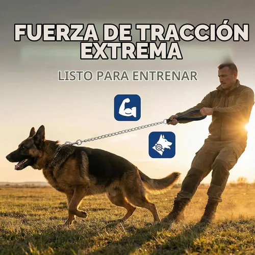 Vista 6 de Correa resistente para perro, correa de metal para perro con mango acolchado para perros grandes y medianos (4 pies x 0.118 in (0-80 libras))