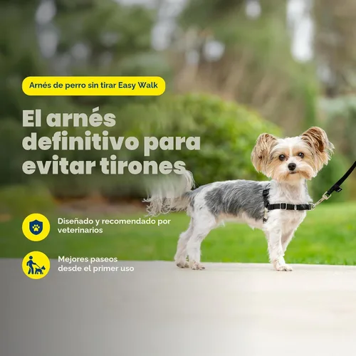 Vista 3 de Arnés de paseo fácil de PetSafe, Negro/Plateado Patented Martingale Loop Gives Gradual Shoulder Pressure to Stop Pulling, Front-Chest Leash Clip