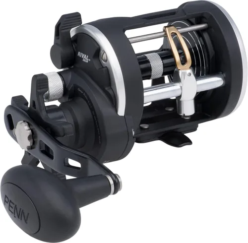 Vista 14 de Carrete de pesca Penn Rival Level Wind convencional