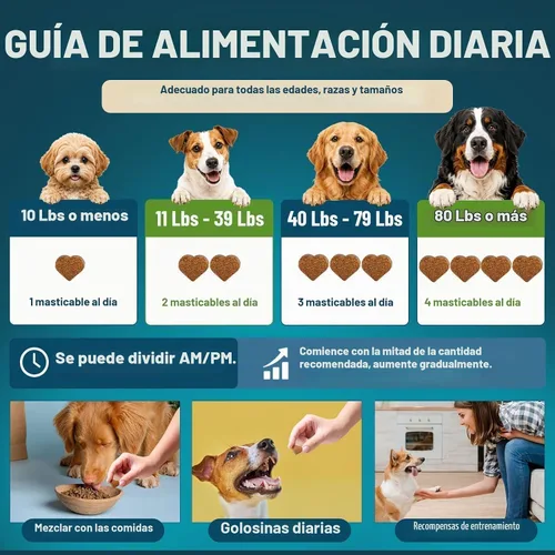 Vista 7 de Probióticos para perros, 200 probióticos suaves masticables para perros, salud digestiva, salud intestinal y sistema inmunológico, con 6 probióticos