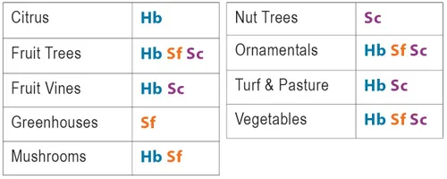Vista 7 de Natures Good Guys - Nematodos beneficiosos Steinernema Feltiae - SF (5 millones)