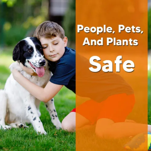 Vista 5 de LEBMP Repelente de serpientes para patio, repelente de serpientes para exteriores, repelente de serpientes seguro para mascotas, disuasorio