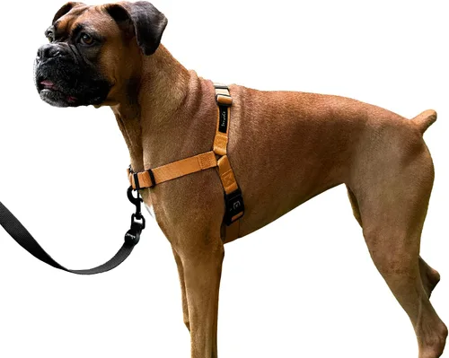 Vista 13 de ShawnCo Dream Walk Arnés para Perros Sin Tirones - Ajustable, Cómodo, Fácil de Usar, Cabestro para Mascotas para Ayudar a Detener los Tirones