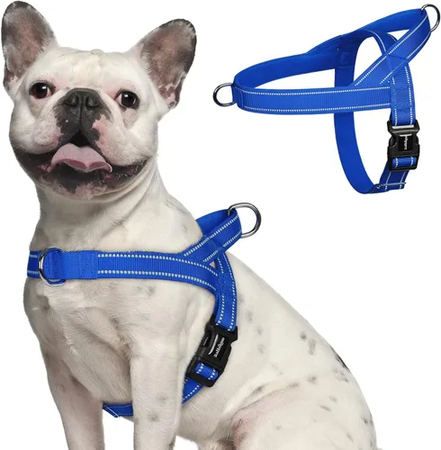 Vista 13 de rabbitgoo Arnés para perro sin tirones, ajuste rápido para perros de tamaño mediano con mango acolchado suave, chaleco reflectante ajustable