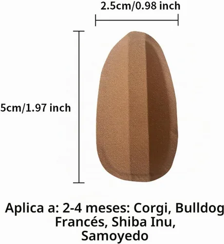 Vista 2 de Herramienta de soporte adhesivo para orejas de perro, corrección fija de oreja de perro, soporte vertical para Doberman, pequeño (0.98 x 1.97)