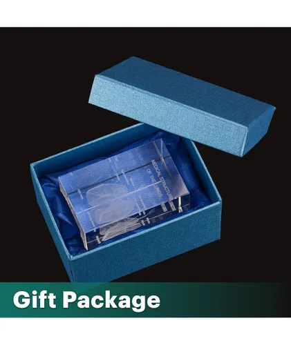 Vista 5 de Ultrassist Modelo 3D de Pulmón Humano de Cristal, Modelo Anatómico Grabado Láser para Decoración de Hogar y Oficina, Regalos para Neumólogos