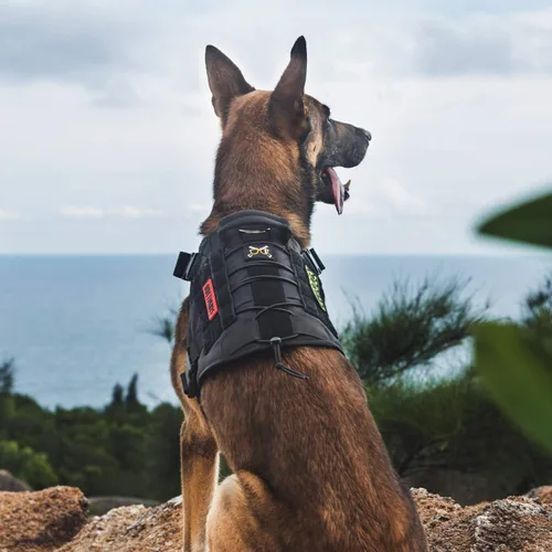 Vista 7 de OneTigris Arnés Chaleco Táctico para Perros, Chaleco de Servicio Sin Tirones para Perros con Paneles de Velcro, Arnés Chaleco Ajustable para Perros