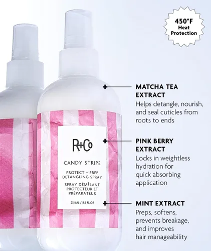 Vista 6 de R+Co CANDY STRIPE Protect + Prep Detangling Spray