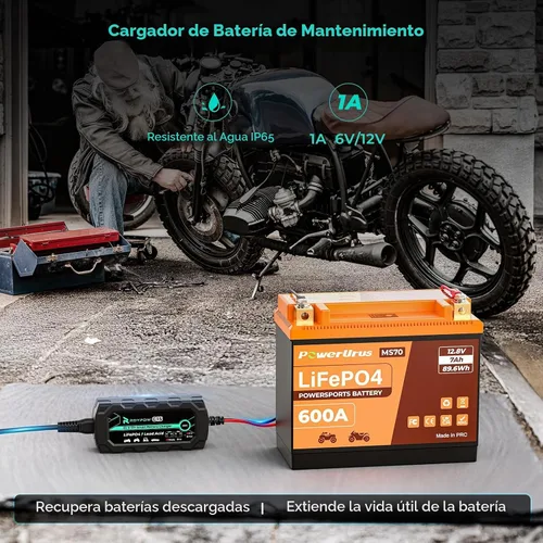 Vista 7 de Cargador de batería de litio de 6V/12V 1A, cargadores de batería inteligentes RoyPow 1A, cargadores automáticos de batería de goteo, mantenedor