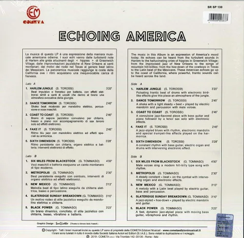 Vista 2 de Echoing America
