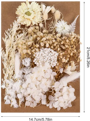 Vista 2 de AhlsenL Flores secas naturales reales, hortensias mixtas, margaritas, decorativas blancas para manualidades, joyería de resina, colgante de uñas